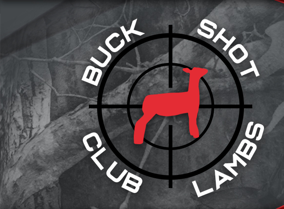 Buck Shot Club Lambs